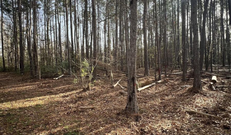 0 Ashe Brown Rd, Adams Run, SC 29426 - 0 Beds, 0 Bath