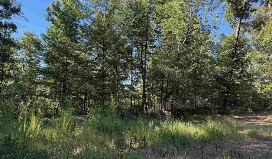 HARRIS, Adamsville, TN 38310 - 0 Beds, 0 Bath