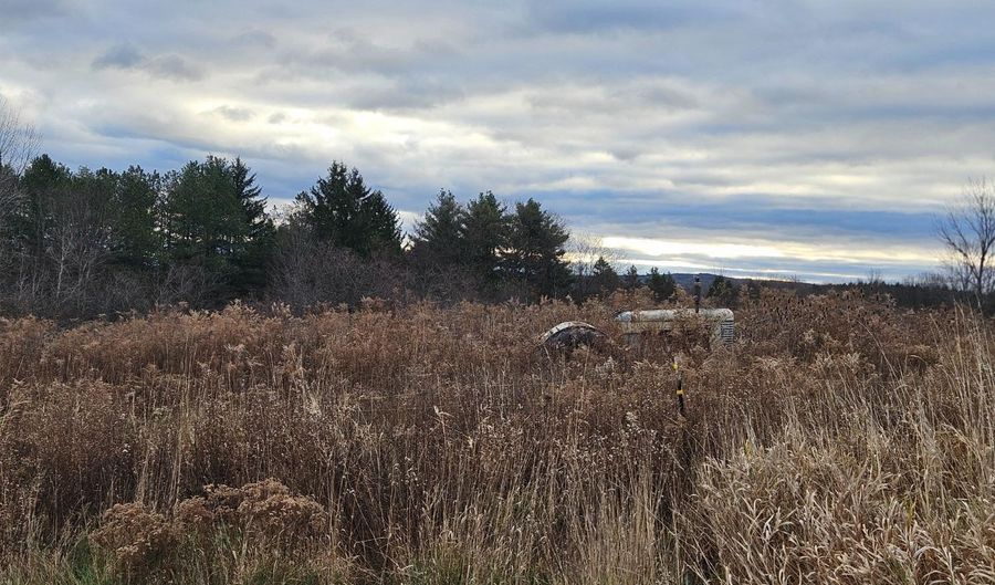 295 Shellstone Rd, Amsterdam, NY 12010 - 0 Beds, 0 Bath