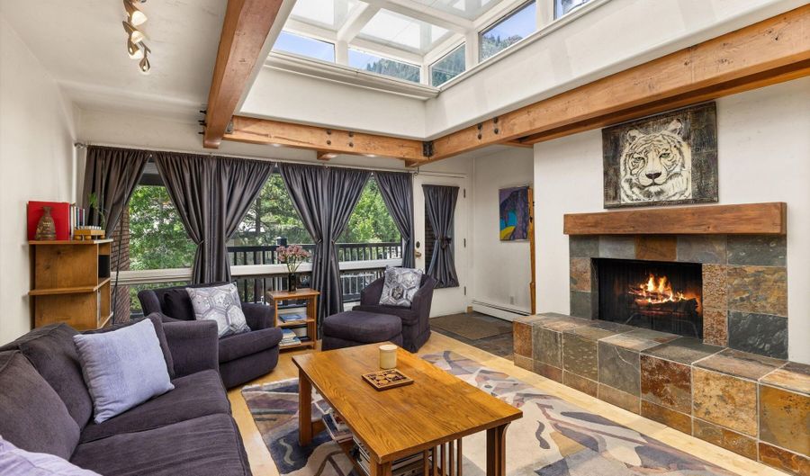 124 W Hyman Ave 3B, Aspen, CO 81611 - 3 Beds, 3 Bath