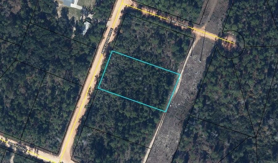 Anderson Drive, Alford, FL 32420 - 0 Beds, 0 Bath