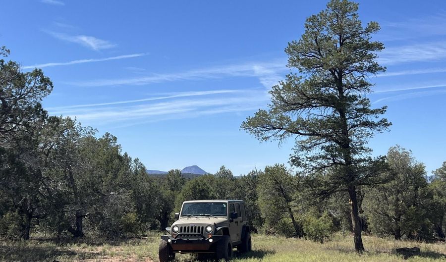 5 Deer Droppings, Ash Fork, AZ 86320 - 0 Beds, 0 Bath
