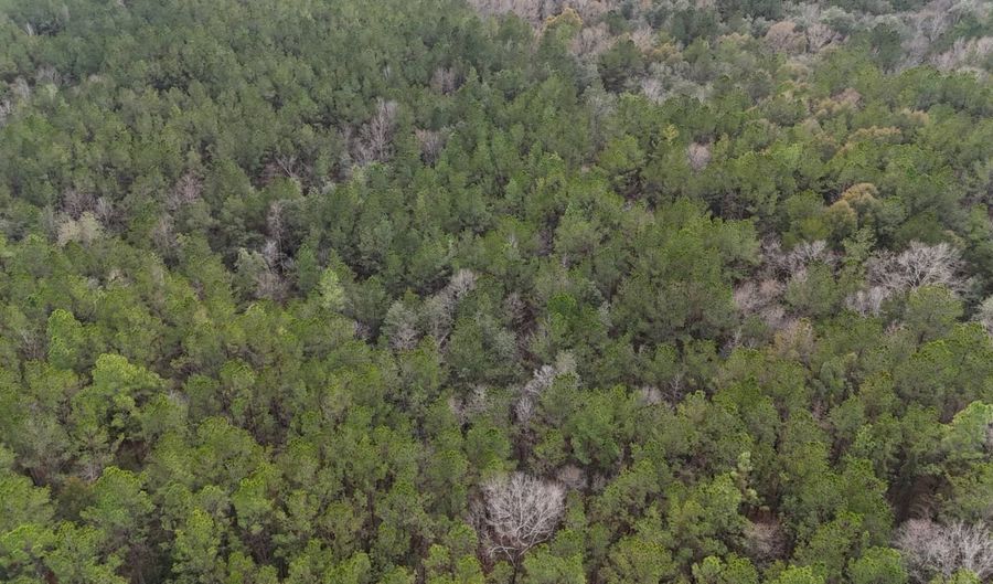 TBD Hwy. 29, Brooklyn, MS 39425 - 0 Beds, 0 Bath