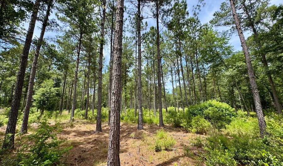 Fox Paw Court, Branchville, SC 29432 - 0 Beds, 0 Bath
