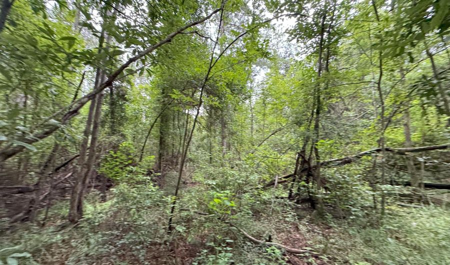 32477 Chapel Pine Drive Lot Cdt3, Albany, LA 70711 - 0 Beds, 0 Bath