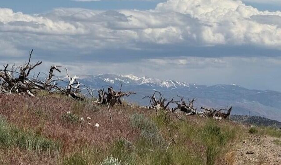 Hwy 395 unit 2 2, Gardnerville, NV 89410 - 0 Beds, 0 Bath