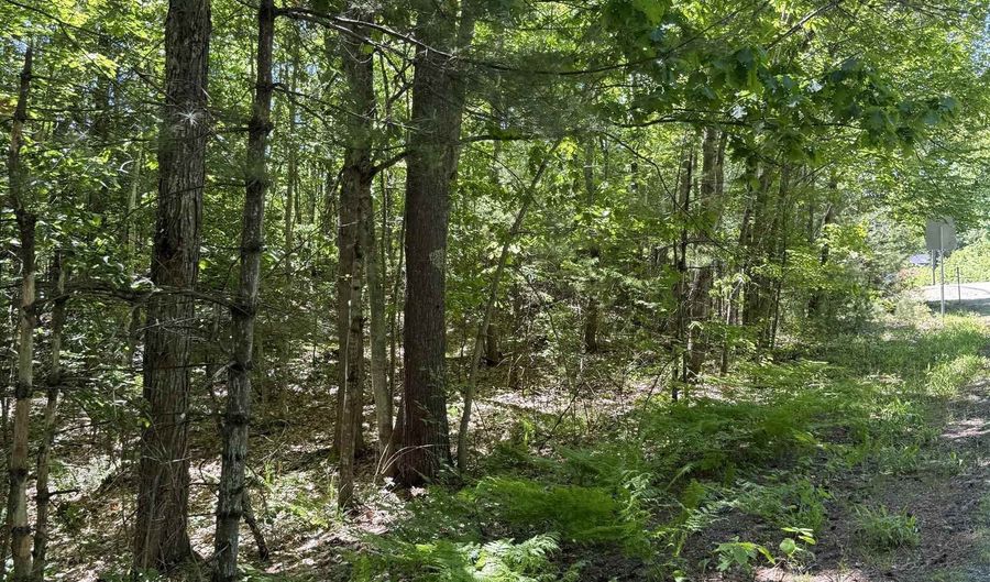 Washington Street lot 33 34 35, Barrington, NH 03825 - 0 Beds, 0 Bath