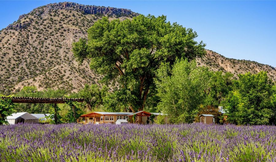 PURPLE ADOBE LAVENDER FARM 25 Private Drive 1622, Abiquiu, NM 87510 - 2 Beds, 2 Bath
