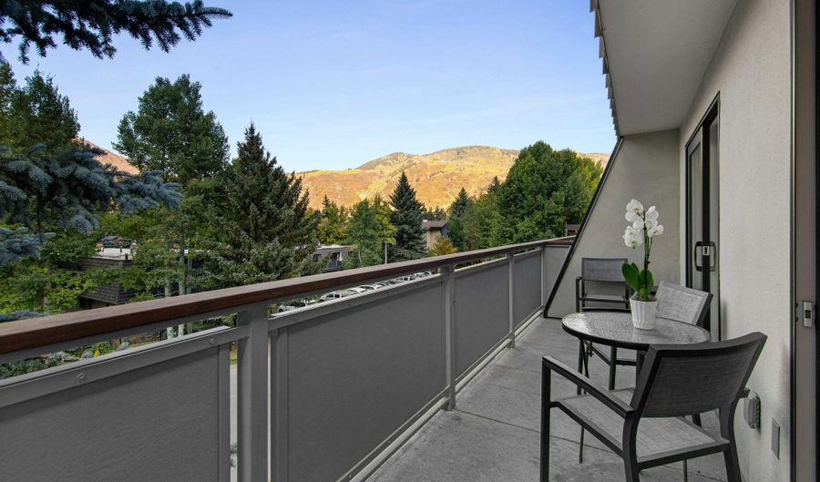 100 E Dean St 3B, Aspen, CO 81611 - 2 Beds, 2 Bath