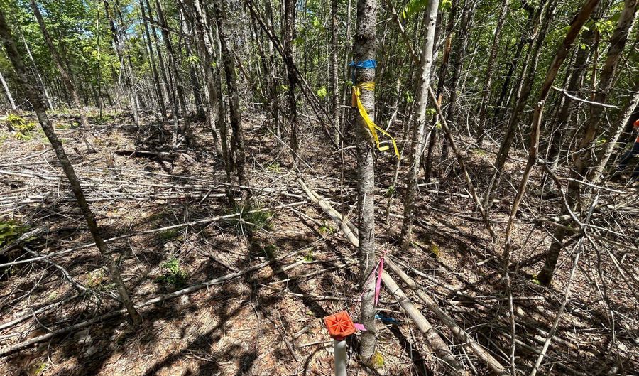 050- C-1 W Waldo Rd, Belfast, ME 04915 - 0 Beds, 0 Bath