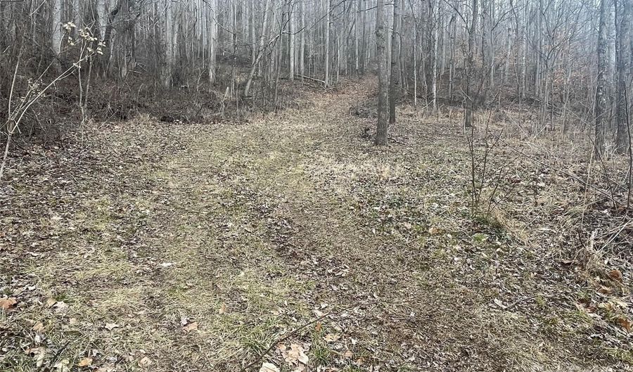 Martins Creek Road, Barnardsville, NC 28709 - 0 Beds, 0 Bath