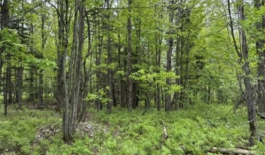 200 Coits Gore Rd, Bakersfield, VT 05441 - 1 Beds, 1 Bath