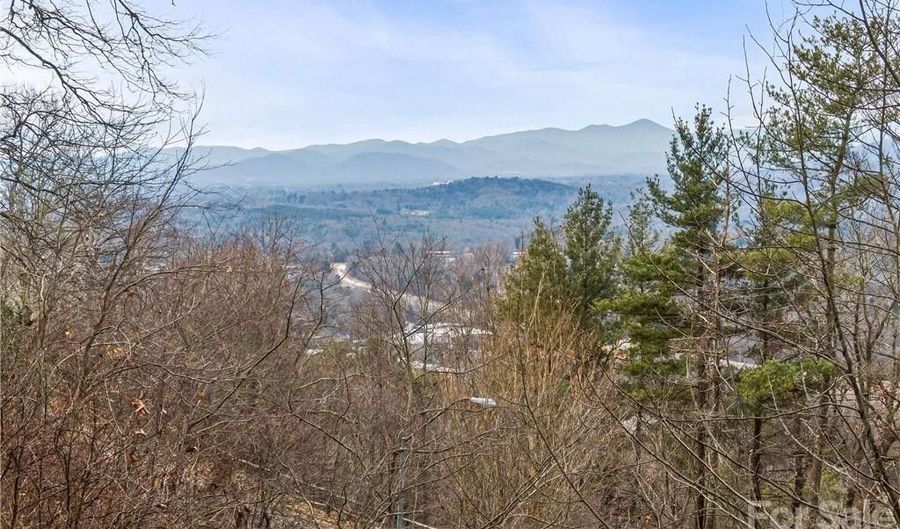 9999 Secluded Forest Dr, Asheville, NC 28804 - 0 Beds, 0 Bath