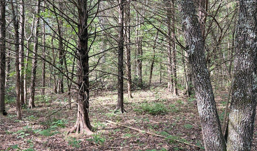 Seaton Drive lot 10, Bella Vista, AR 72714 - 0 Beds, 0 Bath