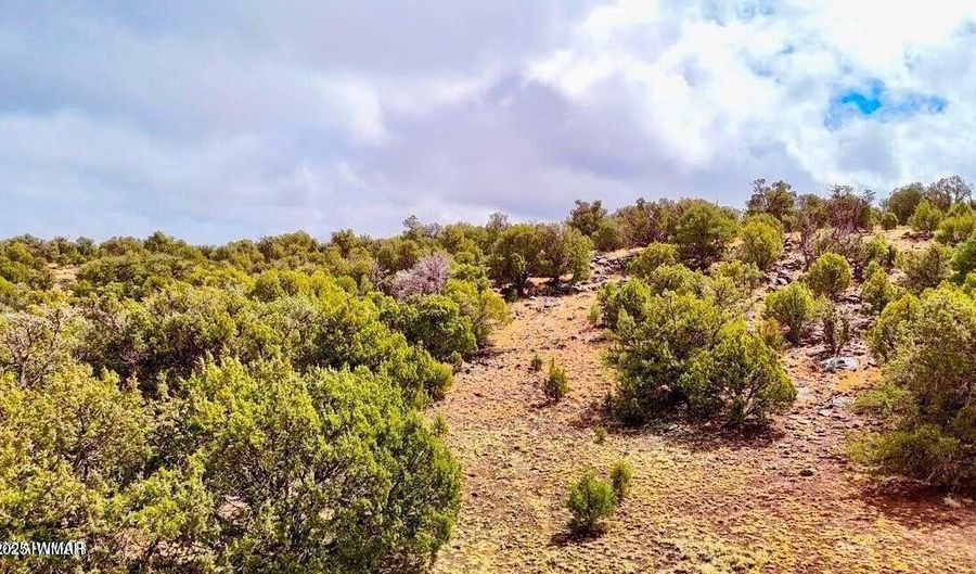 Tbd Co Rd 8256 Lot C 10 Acres, Concho, AZ 85924 - 0 Beds, 0 Bath
