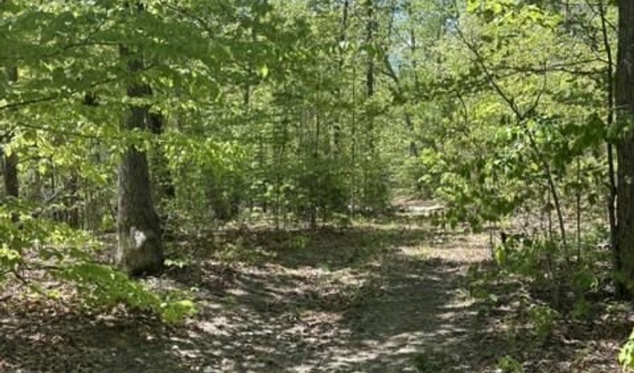 Davis Lane, Aroda, VA 22709 - 0 Beds, 0 Bath