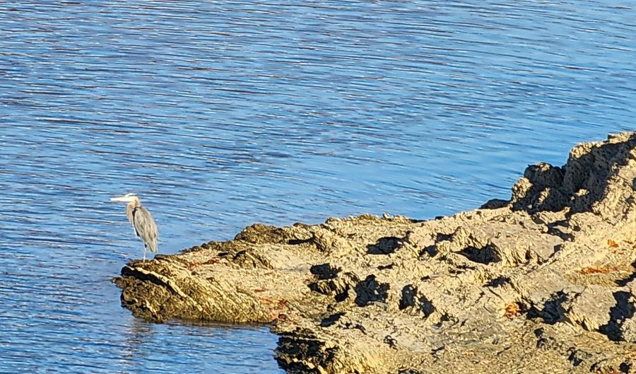 22089 Parks Mill Rd, Abingdon, VA 24211 - 2 Beds, 2 Bath