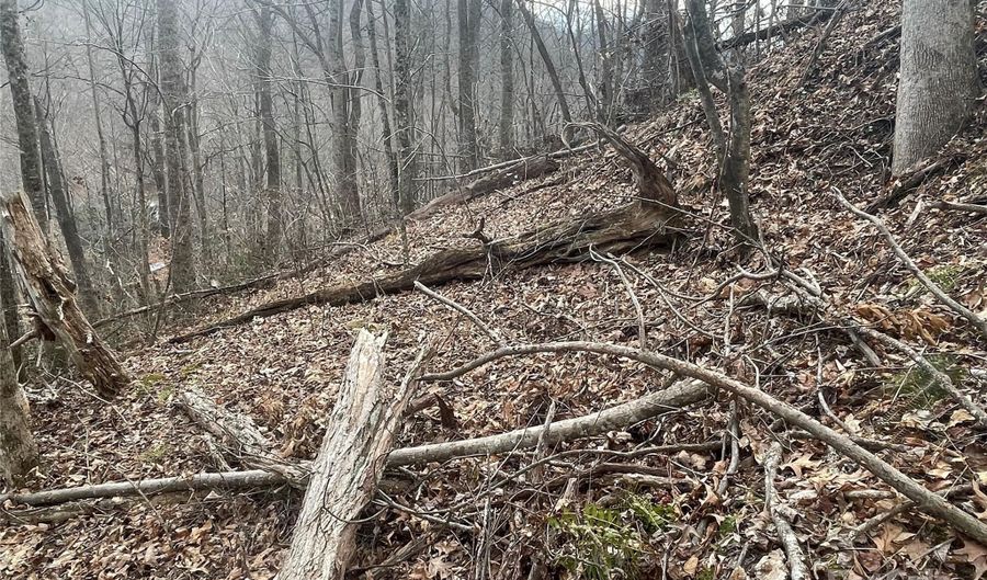 Martins Creek Road, Barnardsville, NC 28709 - 0 Beds, 0 Bath