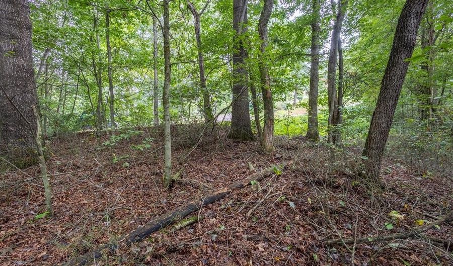 3 Ac Chestnut Flats Rd, Andrews, NC 28901 - 0 Beds, 0 Bath