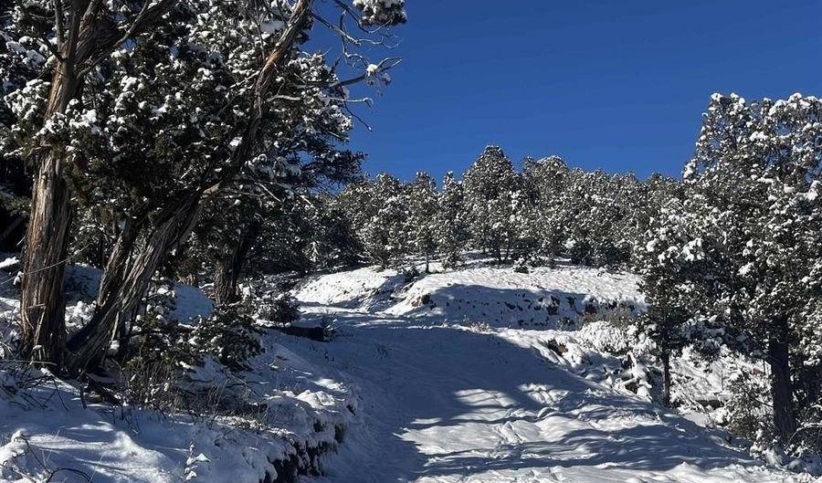 192 Pinon Hills Dr, Arboles, CO 81121 - 2 Beds, 2 Bath