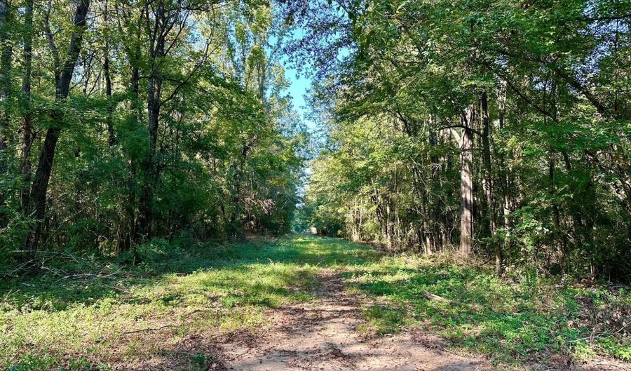 NE Williams Street, Brookhaven, MS 39601 - 0 Beds, 0 Bath