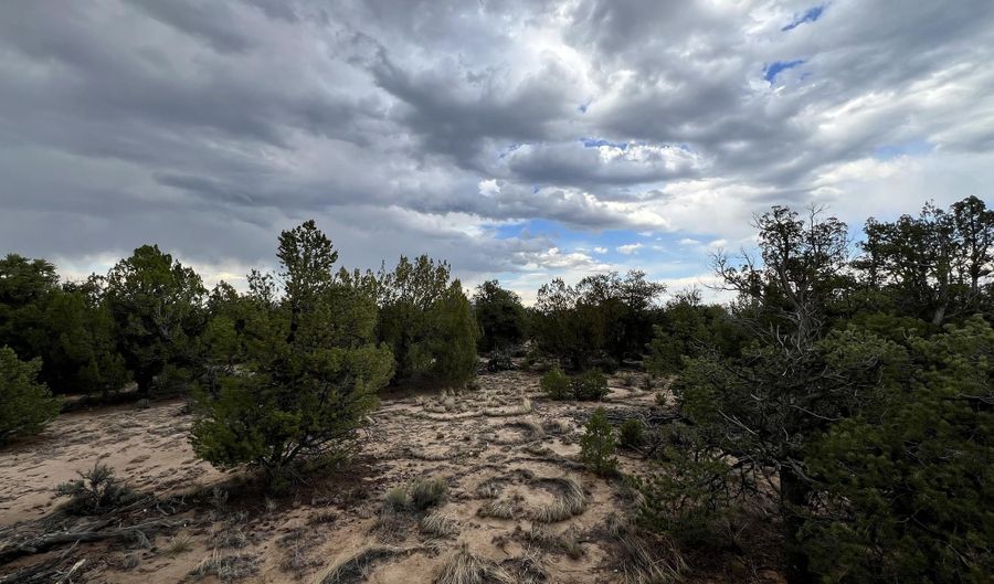 Forest Road 556, Carson, NM 87517 - 0 Beds, 0 Bath