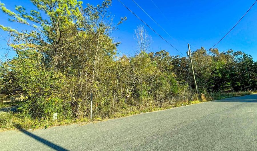 11 SE Wilson St, Attalla, AL 35954 - 0 Beds, 0 Bath