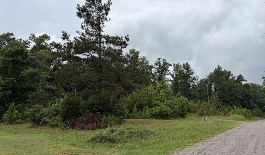 745 FOSTER Rd, Adamsville, TN 38310 - 0 Beds, 0 Bath