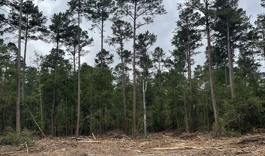 R15685 Moore Cemetery Road, Apple Springs, TX 77519 - 0 Beds, 0 Bath