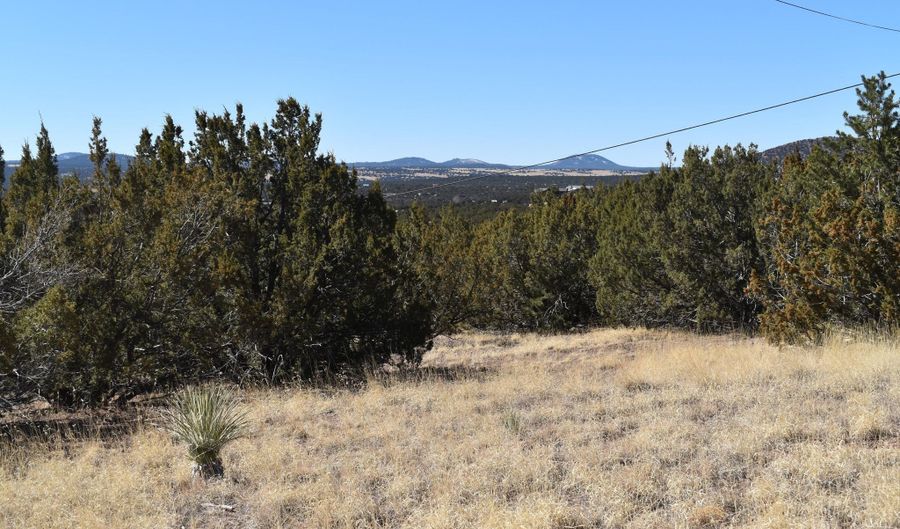 Tbd Stanford Road, Concho, AZ 85924 - 0 Beds, 0 Bath