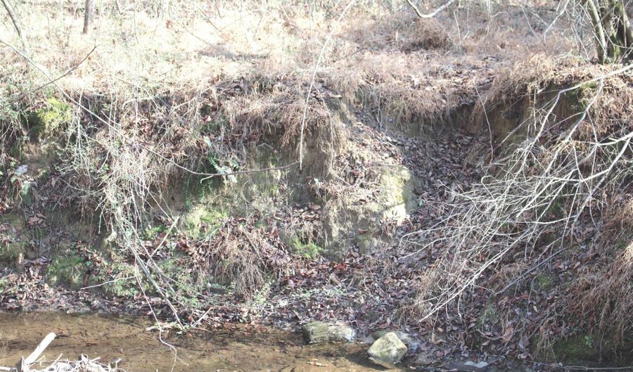 451 Johnson Rd, Albertville, AL 35951 - 0 Beds, 0 Bath