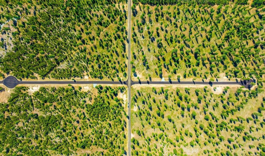 Block 1 Lot 4 NNA Wallace Lane, Blanchard, ID 83804 - 0 Beds, 0 Bath