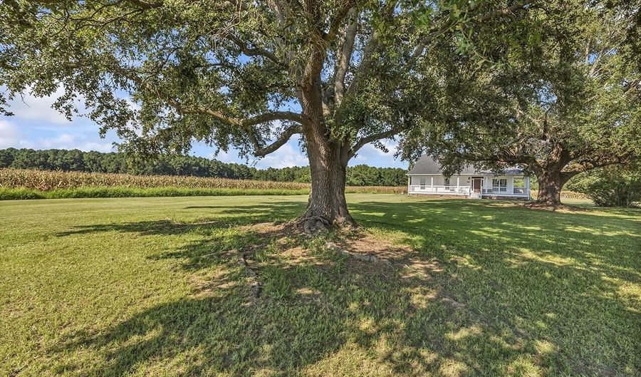 3568 Alcolu St, Alcolu, SC 29001 - 3 Beds, 2 Bath