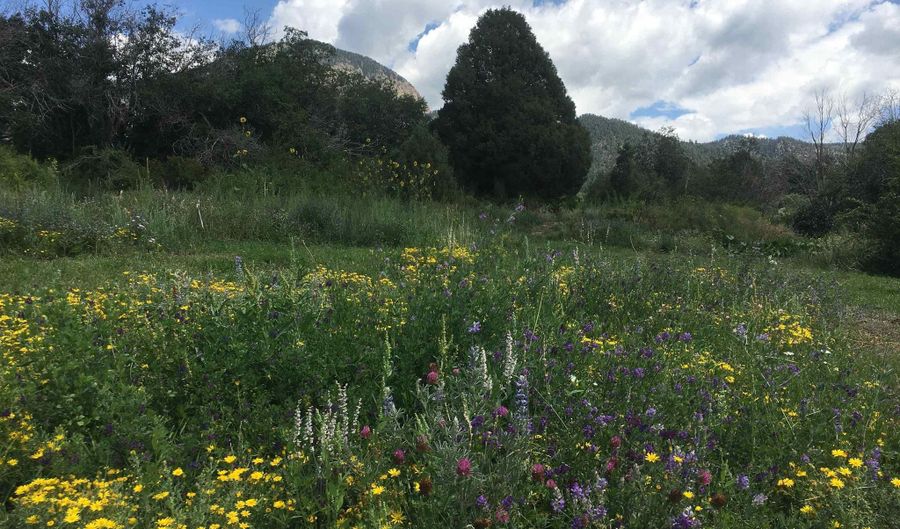 Tract 13 Luis O Torres Rd, Arroyo Seco, NM 87514 - 0 Beds, 0 Bath