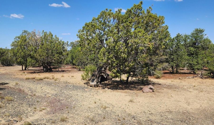 15 Co Rd 3041, Concho, AZ 85924 - 0 Beds, 0 Bath