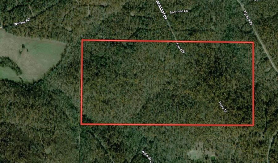 Tuska Drive, Ash Flat, AR 72513 - 0 Beds, 0 Bath