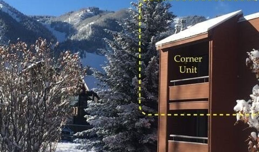 1136 Vine St 1136, Aspen, CO 81611 - 0 Beds, 1 Bath