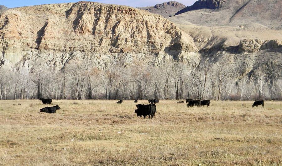 24950 Hwy. 93, Challis, ID 83226 - 3 Beds, 3 Bath