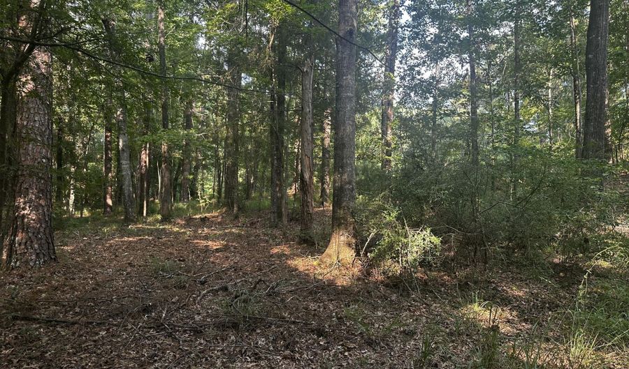 137 Shorter Rd, Braxton, MS 39044 - 3 Beds, 3 Bath