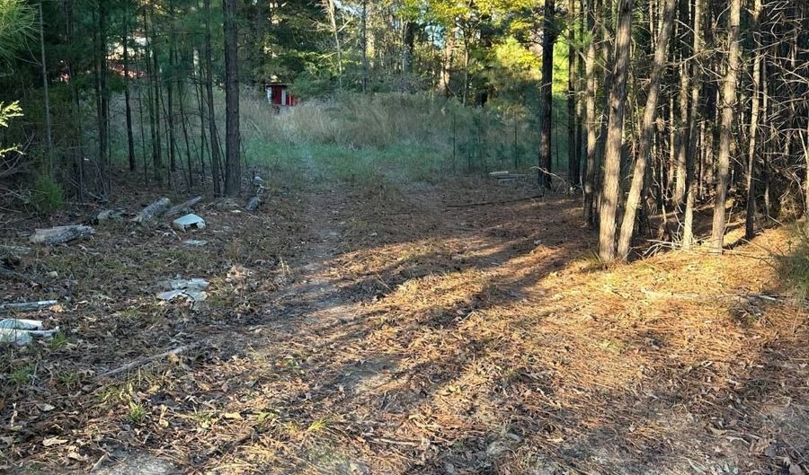 421041 E 1945 Ln, Antlers, OK 74523 - 0 Beds, 0 Bath