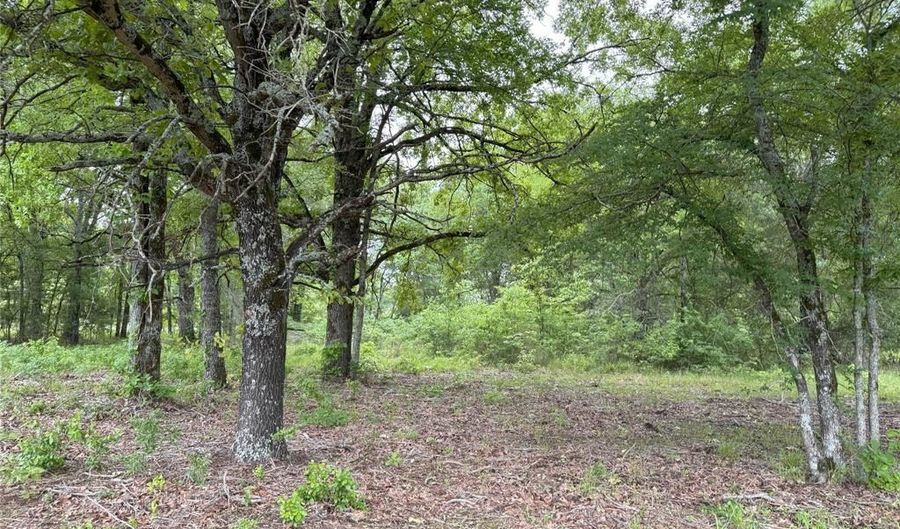 Lot 25 Rains County Road 2610, Alba, TX 75410 - 0 Beds, 0 Bath