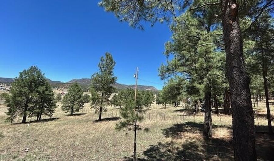 450 County Road 2104, Alpine, AZ 85920 - 1 Beds, 1 Bath