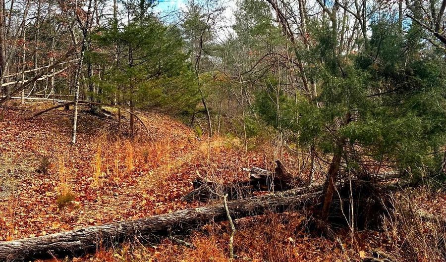 KING Street, Basye, VA 22810 - 0 Beds, 0 Bath