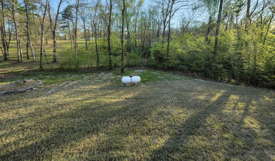 13033 Avilla Hills Cv, Alexander, AR 72002 - 4 Beds, 2 Bath