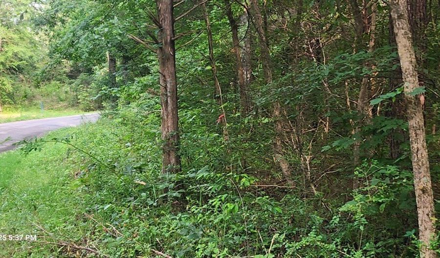 Shady Lane, Big Sandy, TN 38221 - 0 Beds, 0 Bath