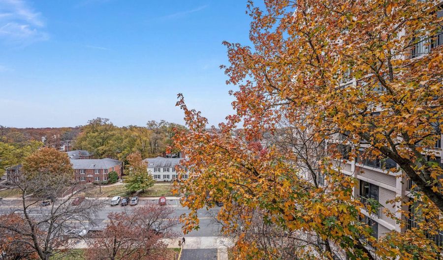 4141 N HENDERSON Rd 702, Arlington, VA 22203 - 1 Beds, 1 Bath