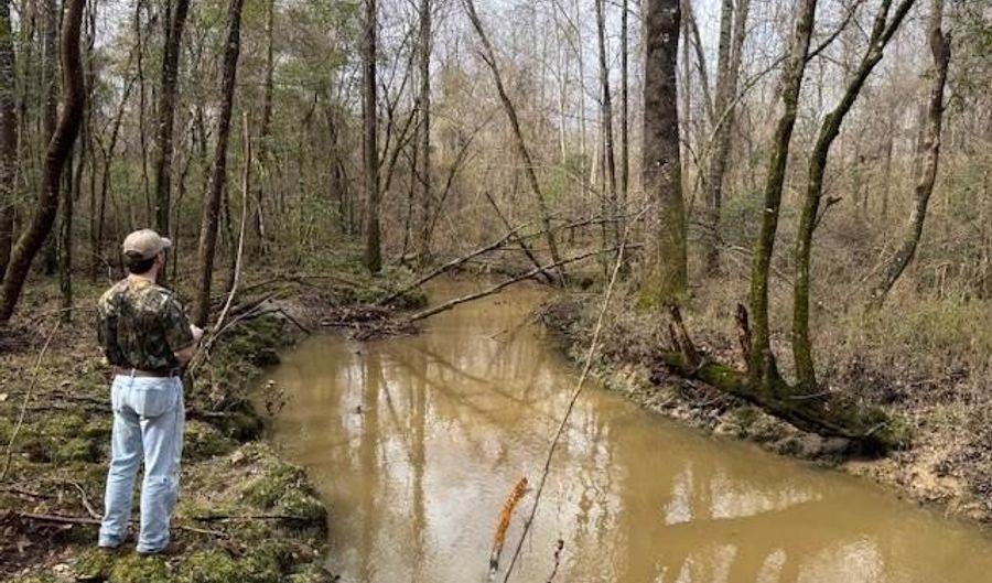 920 A Auburn Dr, Bogue Chitto, MS 39629 - 0 Beds, 0 Bath