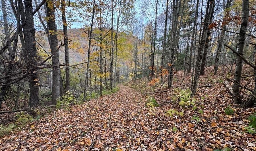 Tbd Rominger Road, Banner Elk, NC 28604 - 0 Beds, 0 Bath