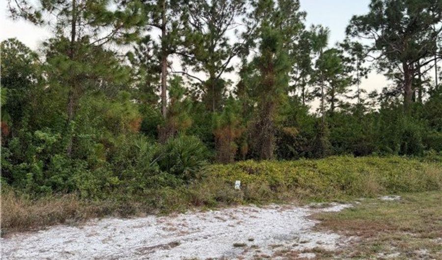 2002 Fitch Ave, Alva, FL 33920 - 0 Beds, 0 Bath