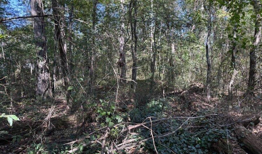 650 Taft Ave, Attalla, AL 35954 - 0 Beds, 0 Bath